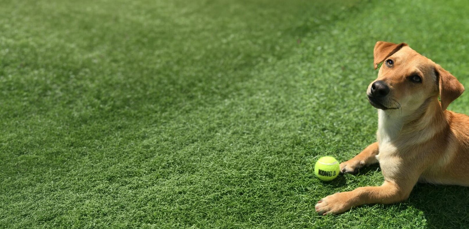 Brooklands God With Ball Header