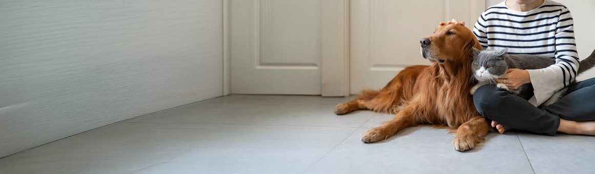 Built for the Stores Pet Parents Rely On